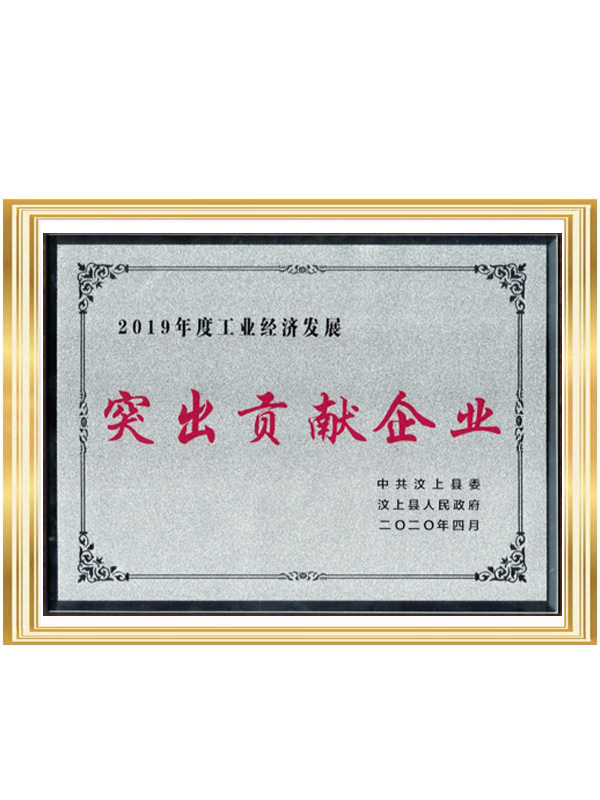 2019突出贡献奖