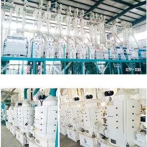 日产80-300吨成套碾米设备工程 